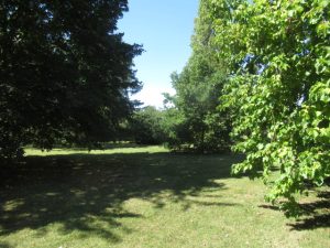 IMG_8883