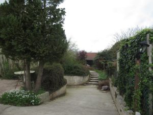 IMG_0377