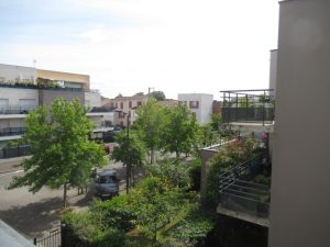 IMG_1264