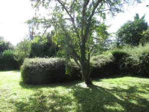IMG_1674