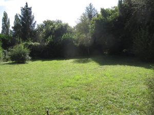 IMG_1675