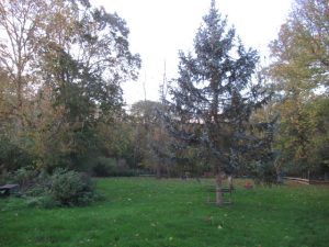 IMG_9670