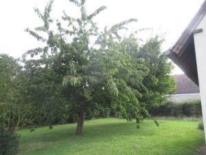 IMG_1759
